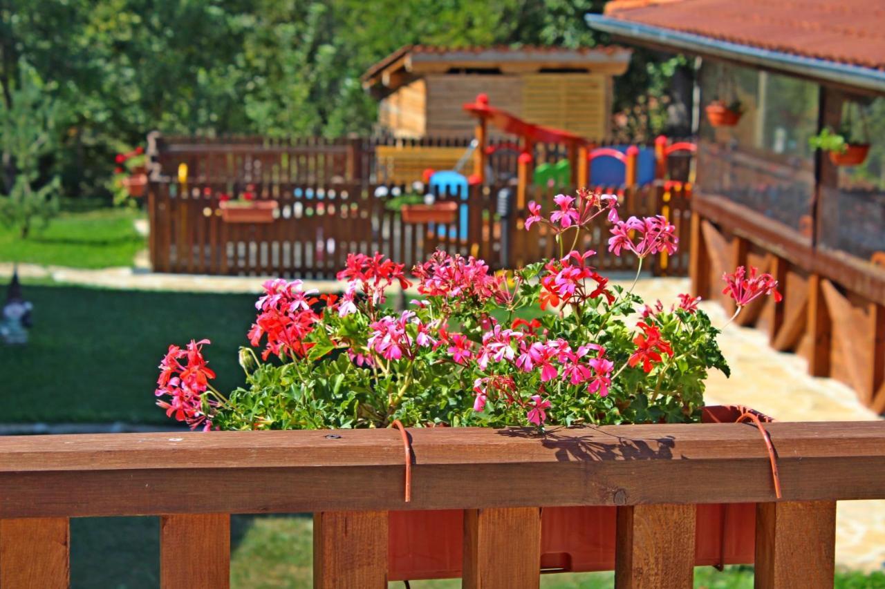 Sinjirite Complex Hotel Elena Kültér fotó