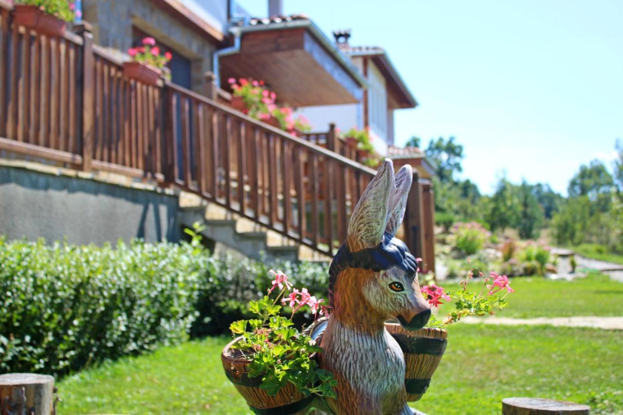 Sinjirite Complex Hotel Elena Kültér fotó